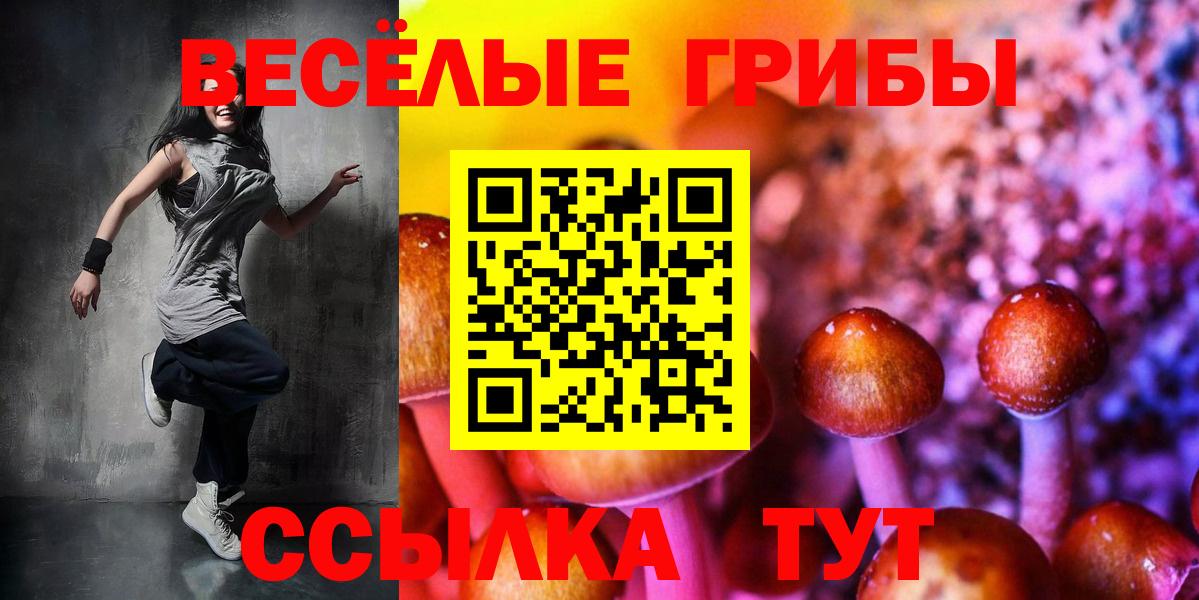 Псилоцибиновые грибы мухоморы  Псилоцибиновые грибы Cubensis  Майкоп  Вход с VPN 